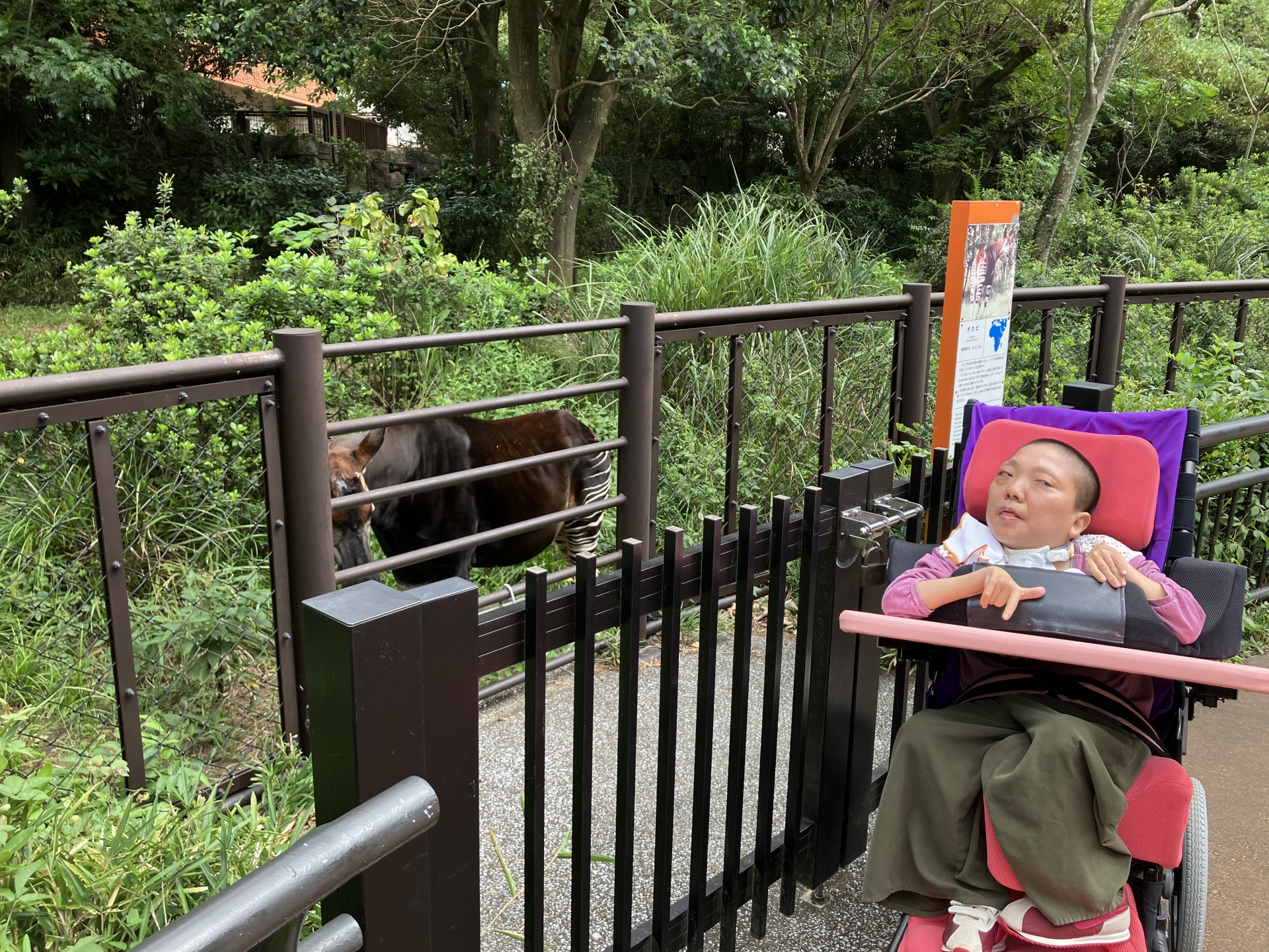 金沢動物園に行きました♡