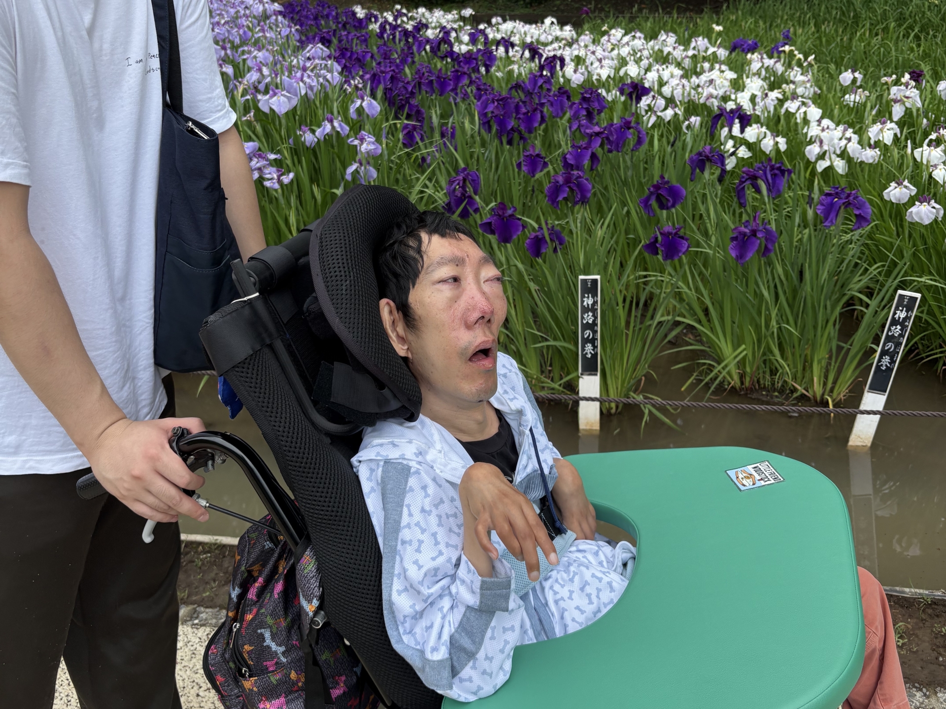 菖蒲園に行って来ました(^o^)