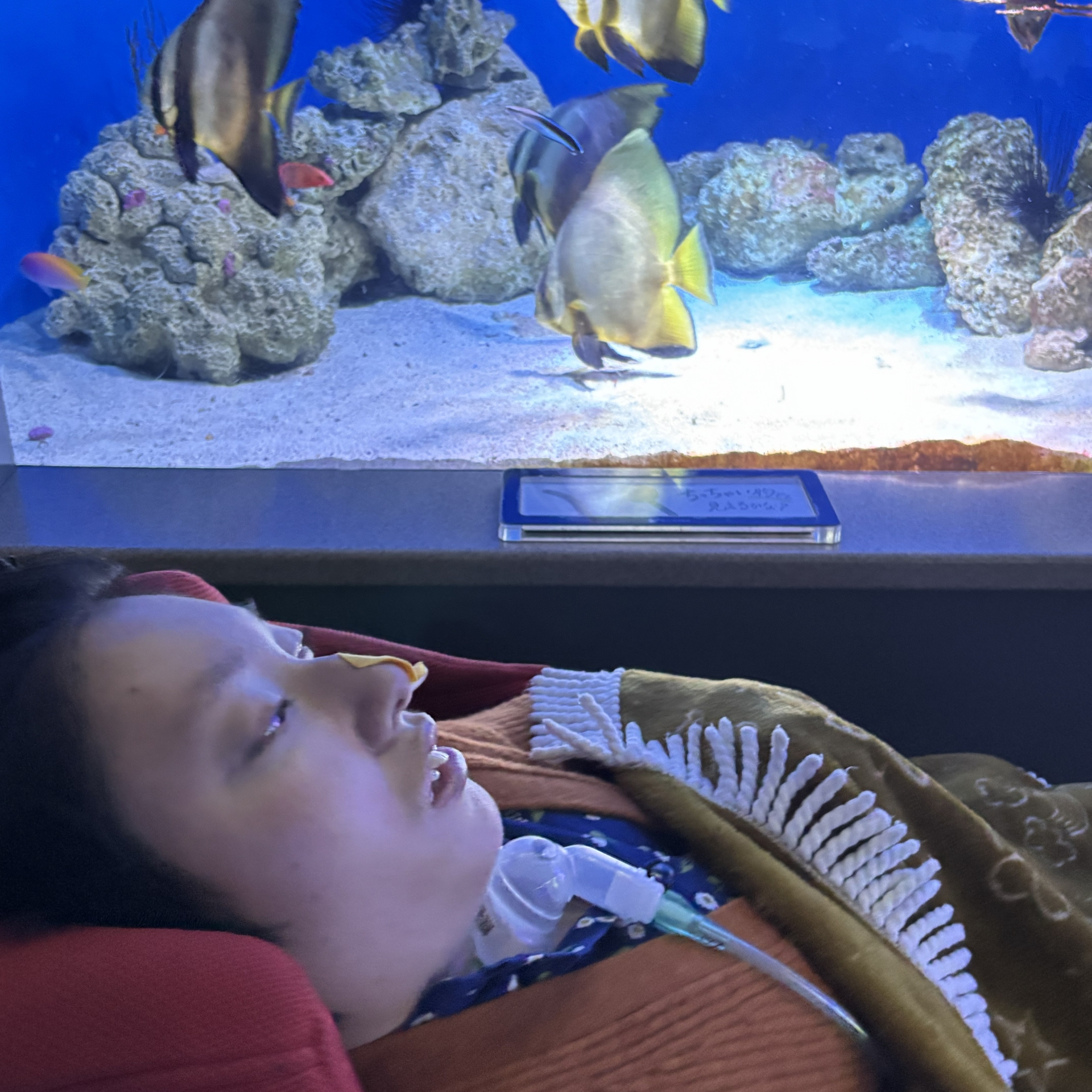 えのすいに行きました♡