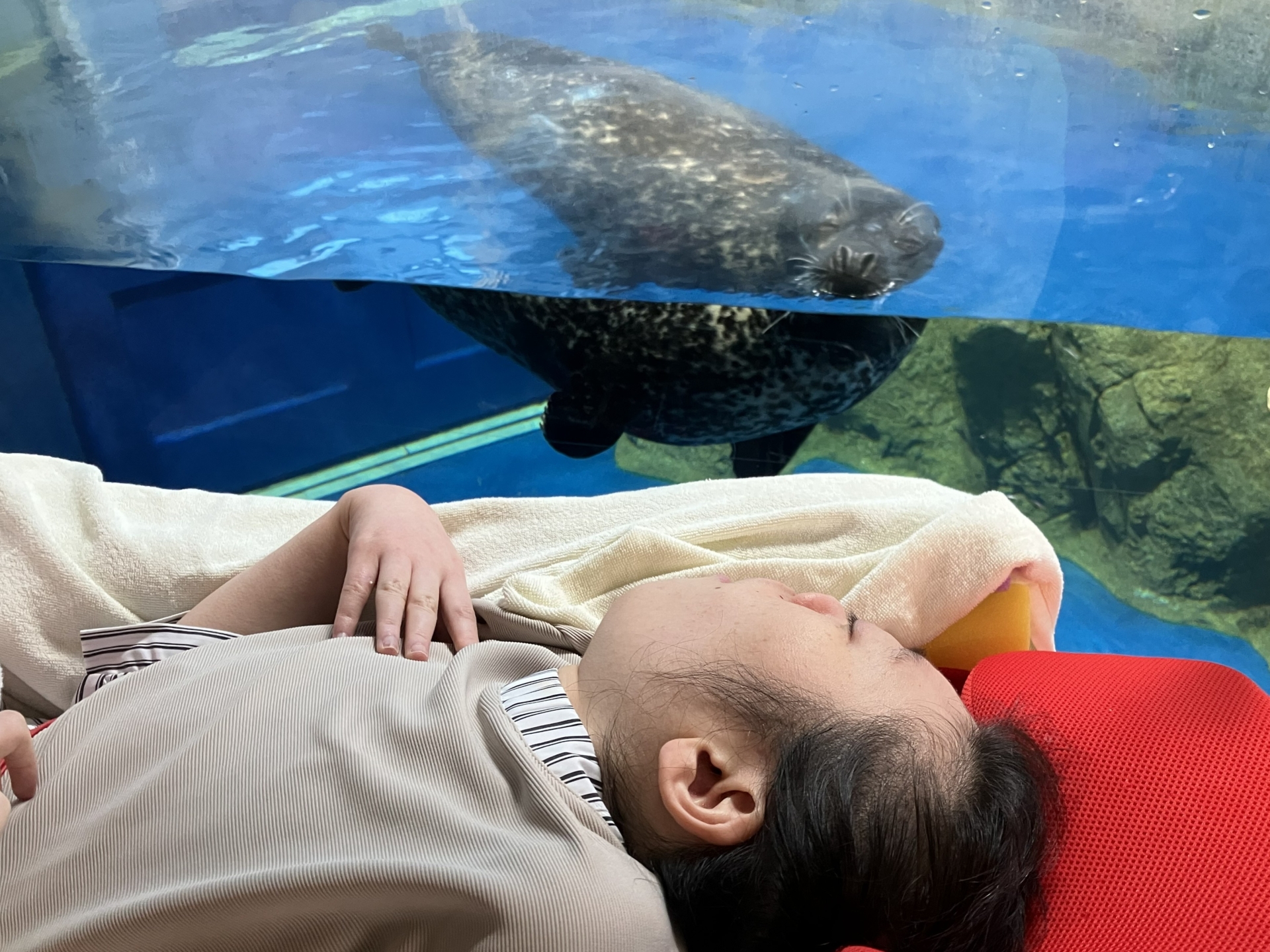 海の世界をのぞいて来たよ♡