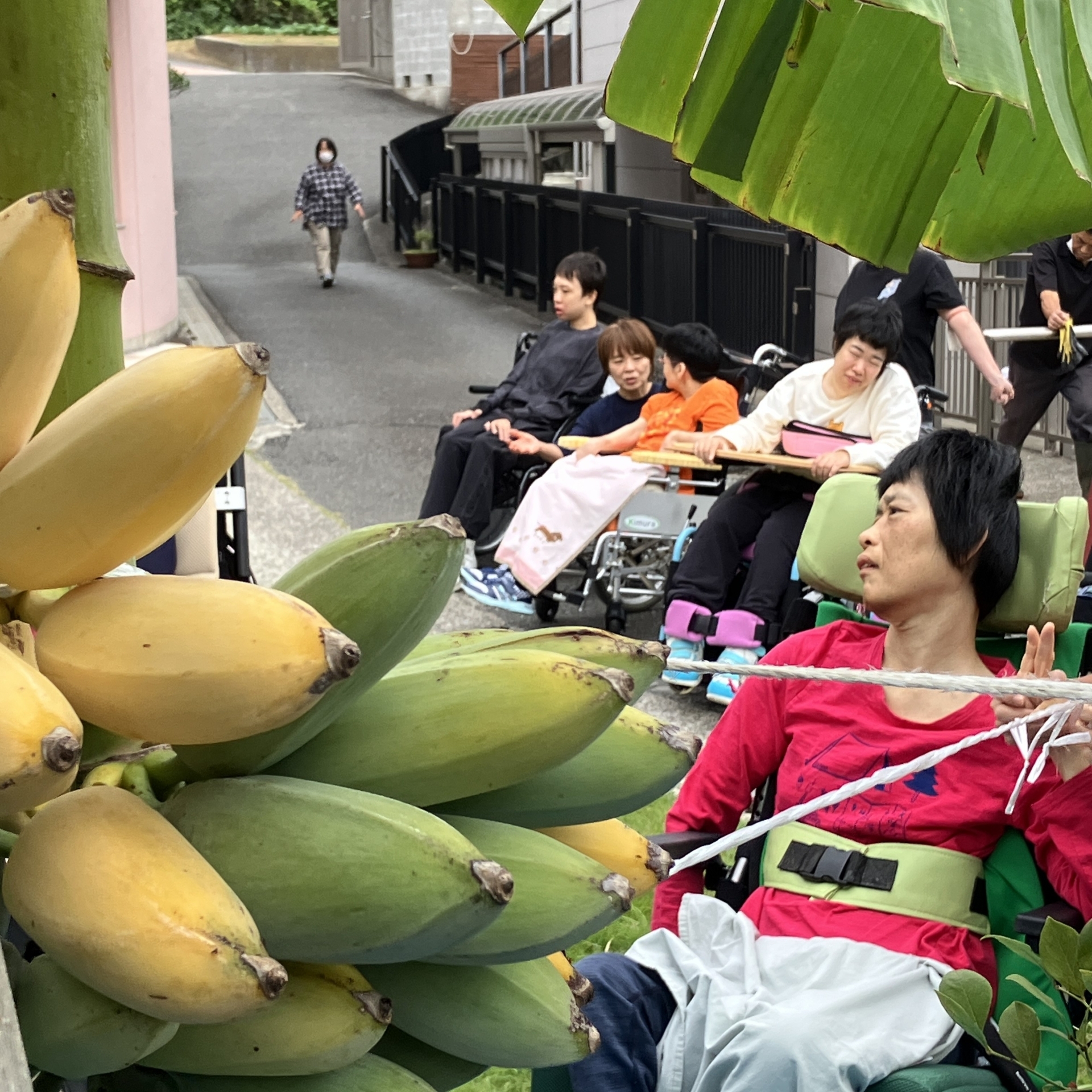 木⁈で熟成バナナ！@ゆう | みなと舎日記 | 横須賀市の社会福祉法人